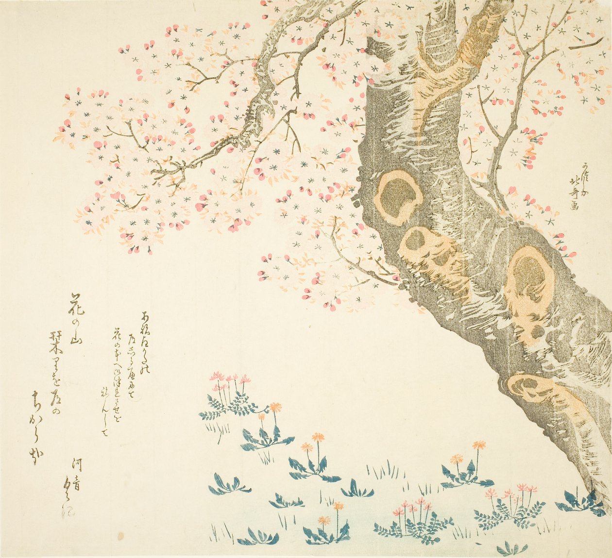 Maskrosor och klöver under körsbärsträd av Katsushika Hokusai