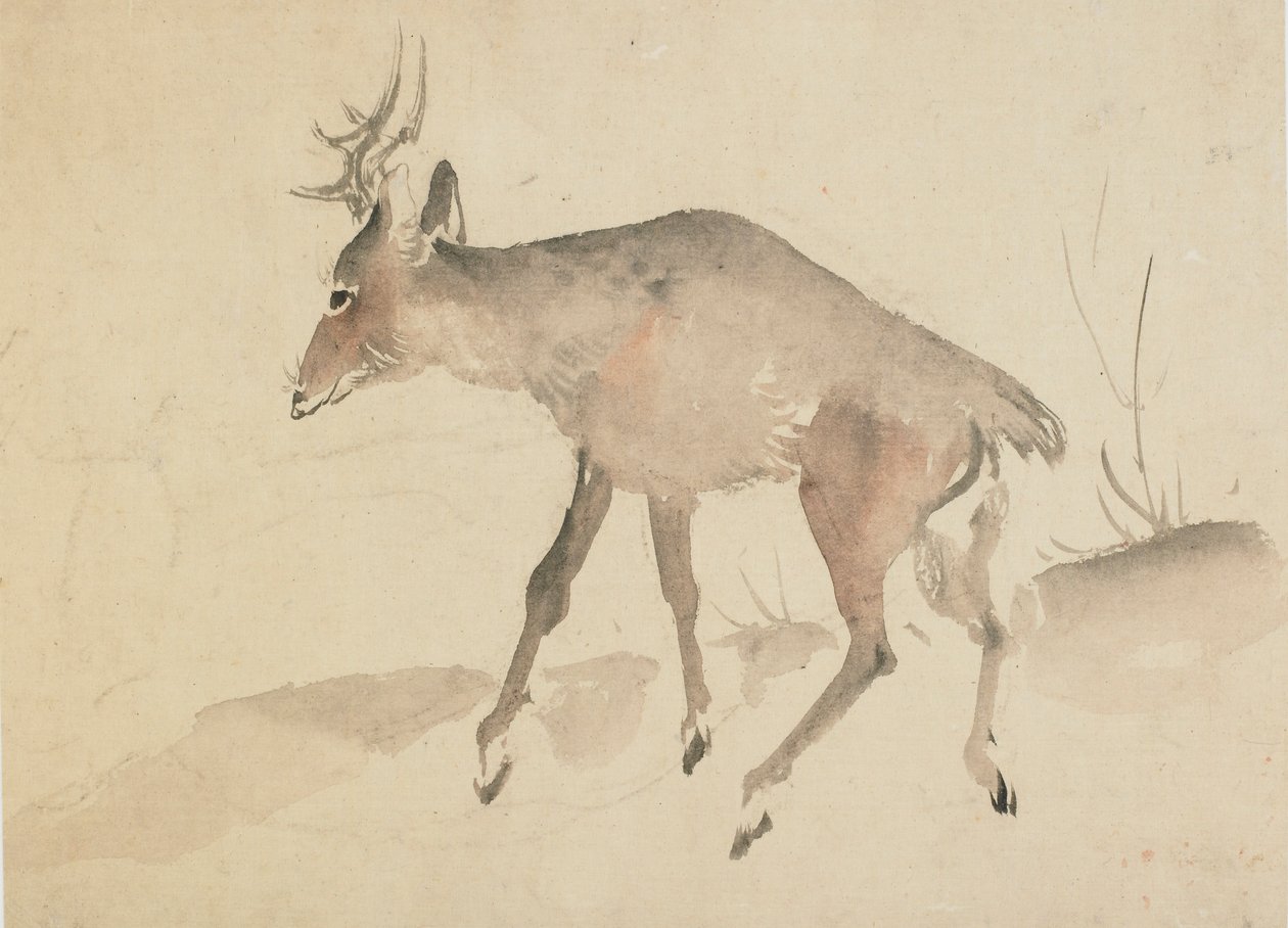 Rådjur, sent 1700-tidigt 1800-tal. av Katsushika Hokusai