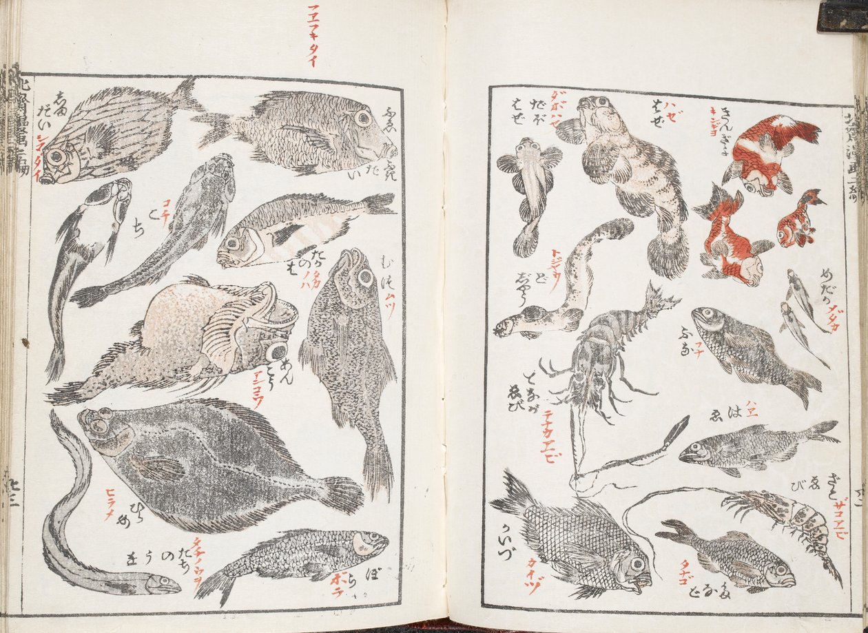Fiskar och havsdjur av Katsushika Hokusai