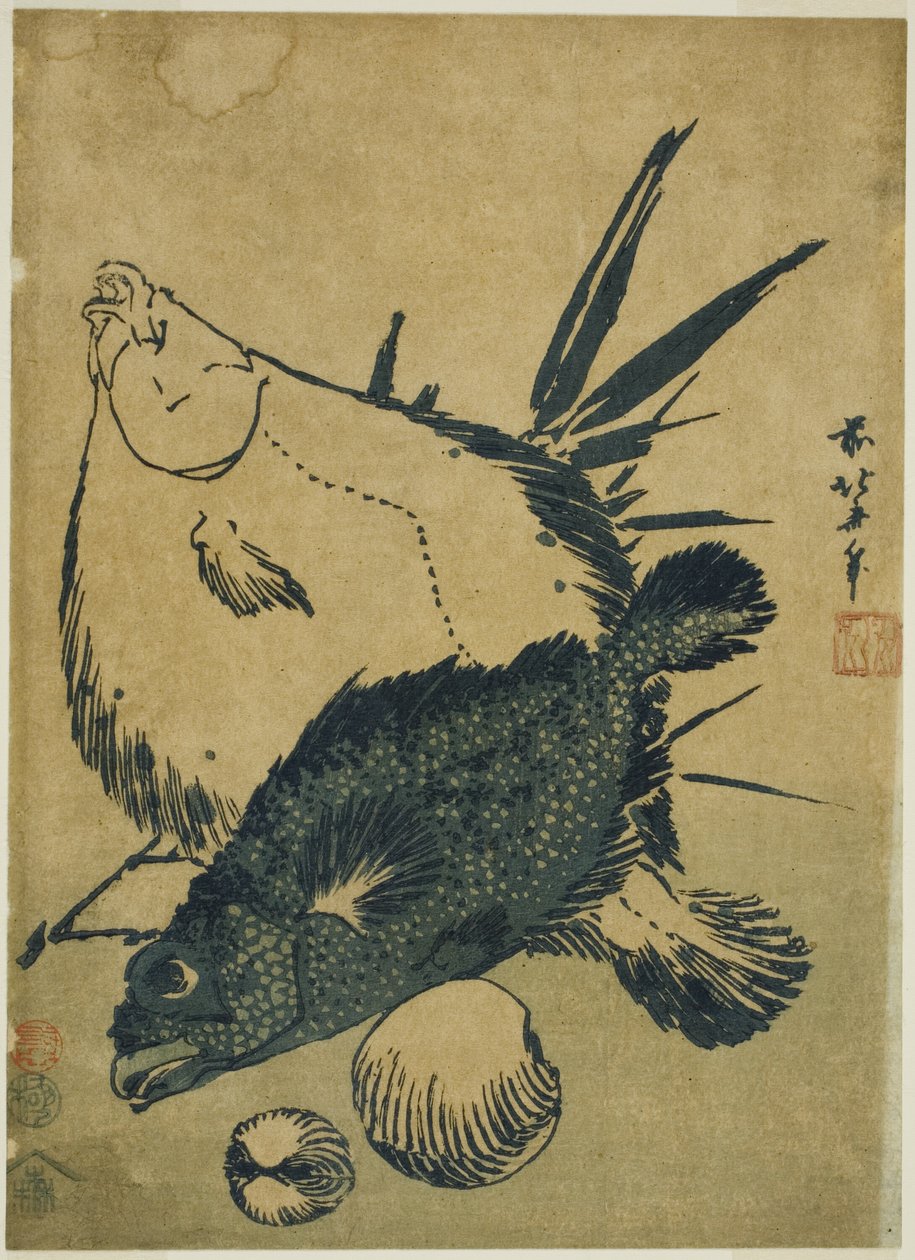Plattfisk, skorpionfisk och snäckor, från en namnlös serie chuban-tryck av Katsushika Hokusai