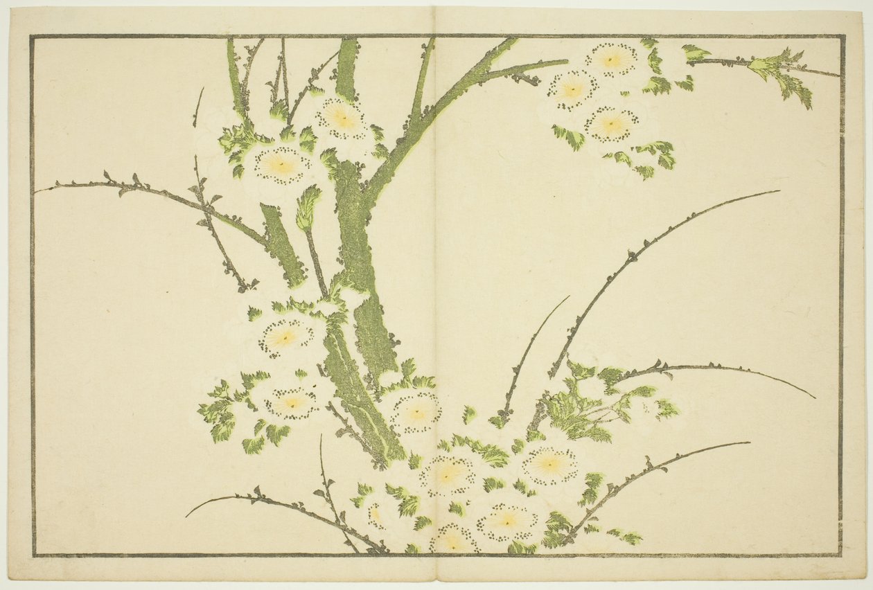 Blommor, från The Picture Book of Realistic Paintings of Hokusai (Hokusai shashin gafu) av Katsushika Hokusai