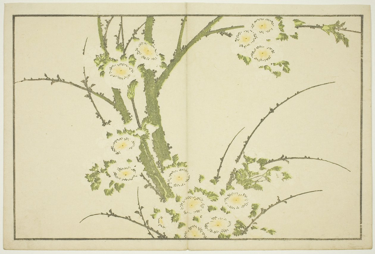 Blommor, från The Picture Book of Realistic Paintings of Hokusai (Hokusai shashin gafu), ca 1814 (träsnitt i färg (albumark)) av Katsushika Hokusai