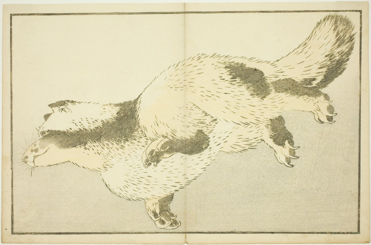 Fox, från The Picture Book of Realistic Paintings of Hokusai (Hokusai shashin gafu) av Katsushika Hokusai