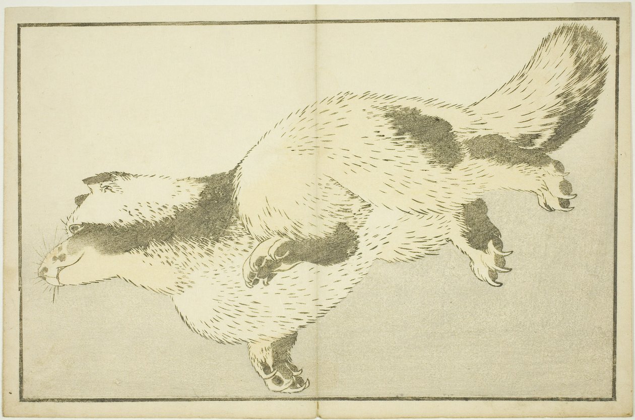 Fox, från The Picture Book of Realistic Paintings of Hokusai (Hokusai shashin gafu) av Katsushika Hokusai