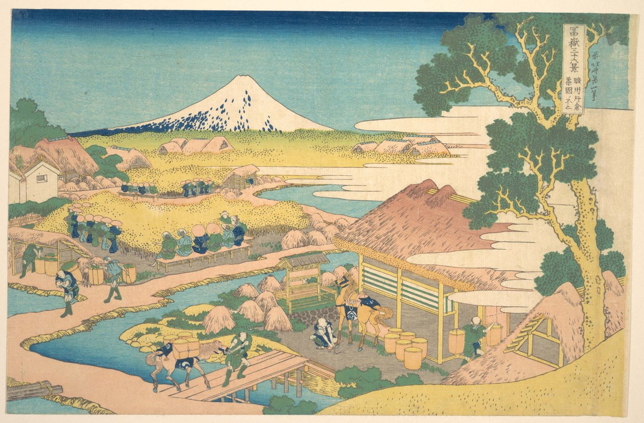 Fuji från Katakura-tefälten i Suruga (Sunshū Katakura chaen no Fuji), ur serien ”De trettiosex vyerna av berget Fuji” (Fugaku sanjūrokkei) av Katsushika Hokusai