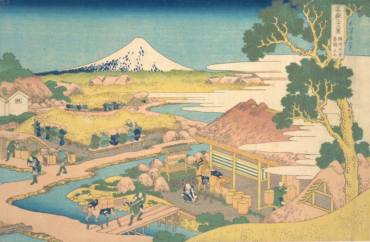 Fuji från Katakura Thea Fields är medlem i Katakura Tea Plantation Fuji, från t. . . , mygga. 1830-32. av Katsushika Hokusai