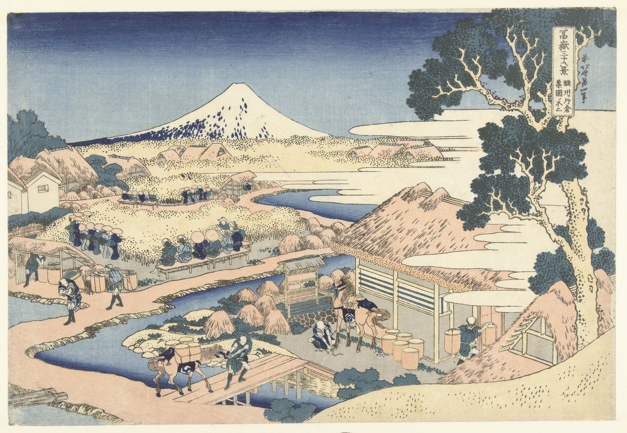 Fuji från Katakura Tea Plantation i Surugaprovinsen Sunshu Katakura chaen no Fuji (titel på objekt) 36 vyer av berget Fuji (serietitel) Fugaku sanjurokkei (serietitel på objekt) av Katsushika Hokusai