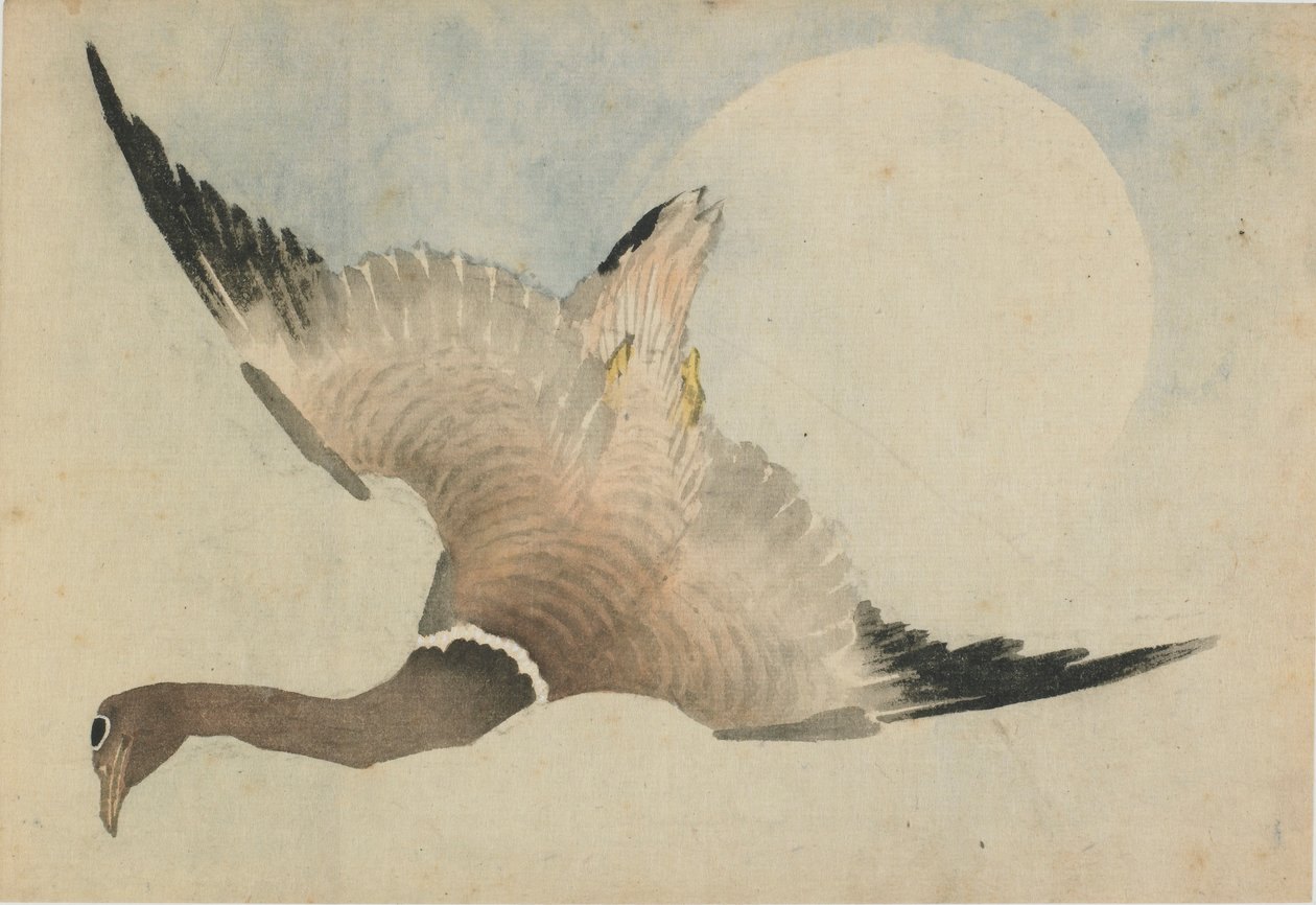 Gås som flyger framför månen, sent 1700-tidigt 1800-tal. av Katsushika Hokusai