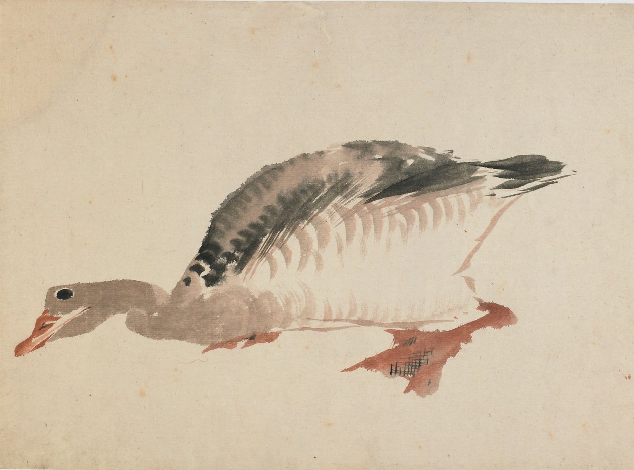 Gås, sent 1700-tidigt 1800-tal. av Katsushika Hokusai