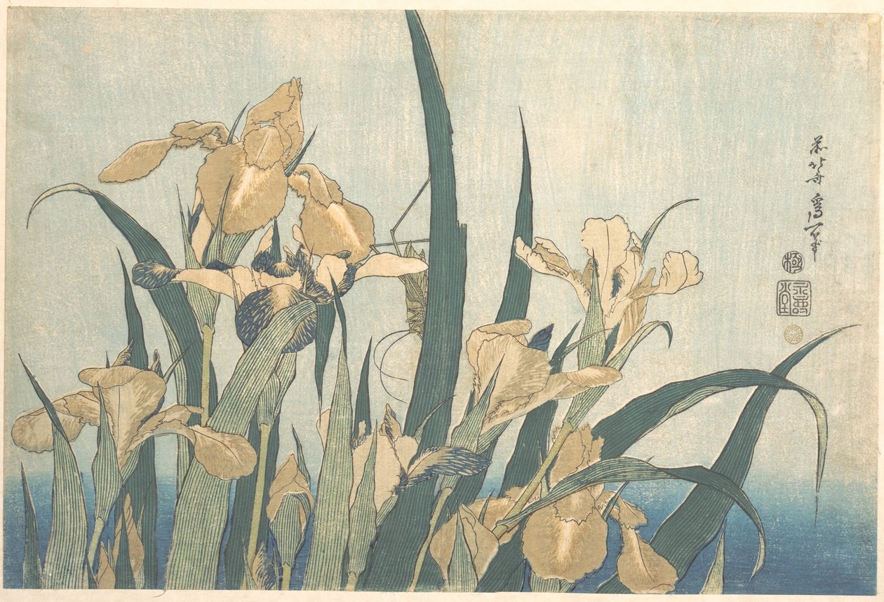 Gräshoppa och iris av Katsushika Hokusai