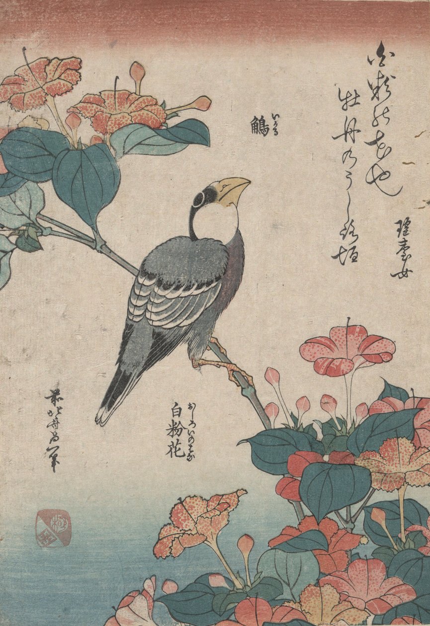 Grosbeak on Mirabilis, från en namnlös serie som heter Small Flowers av Katsushika Hokusai