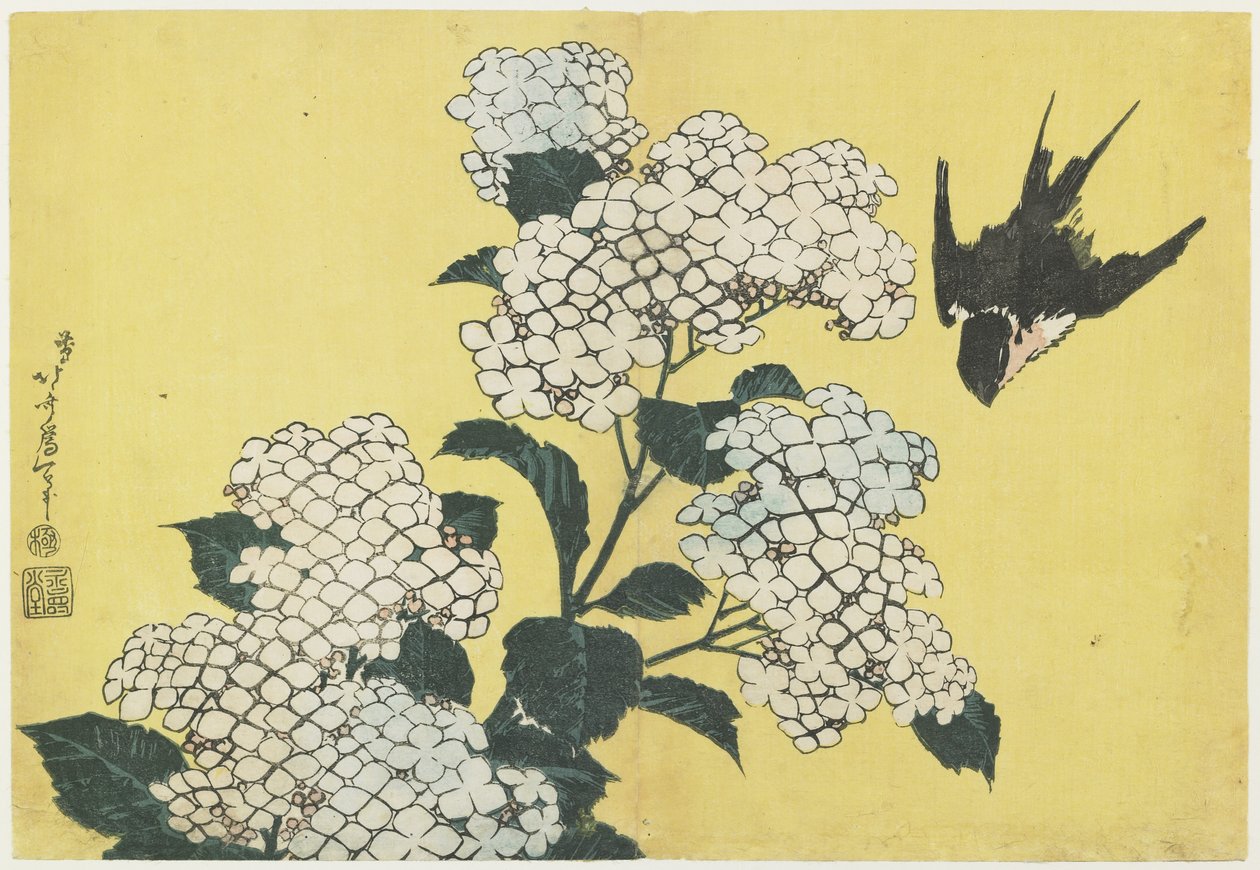Hortensia och svala, ca. 1832 av Katsushika Hokusai