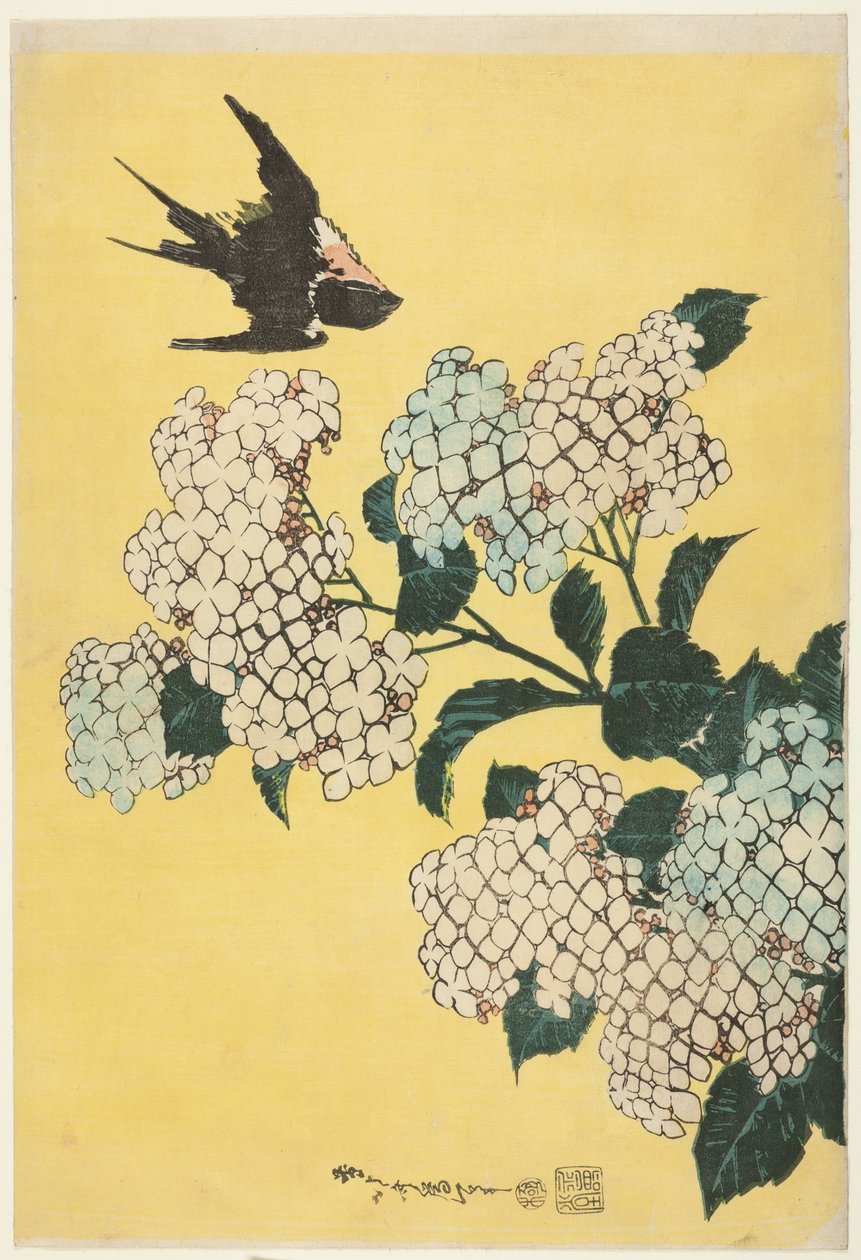 Hortensia och svala, från en namnlös serie stora blommor av Katsushika Hokusai