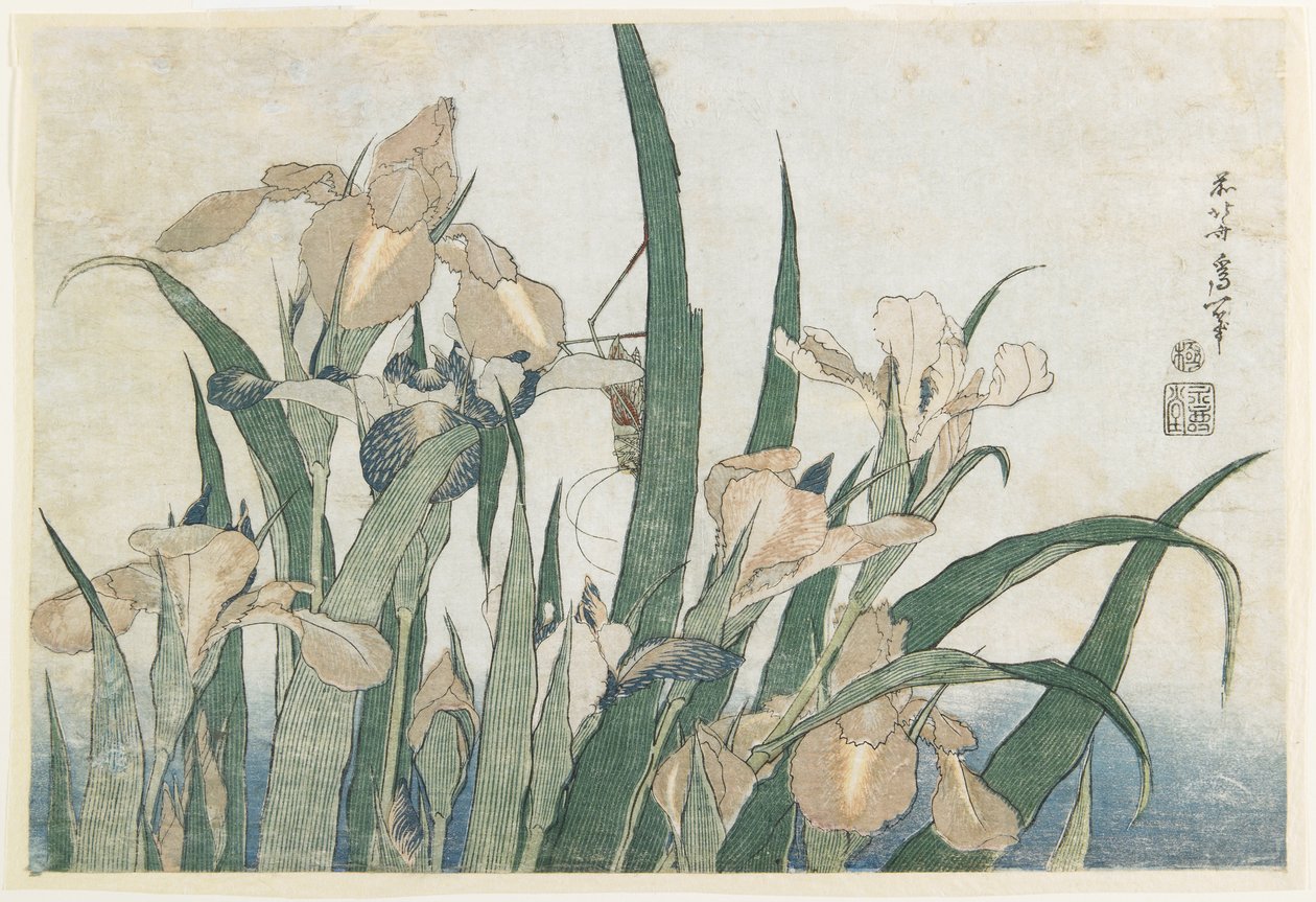 Iris blommor och gräshoppa, ca 1830-31 (trätryck i färg) av Katsushika Hokusai