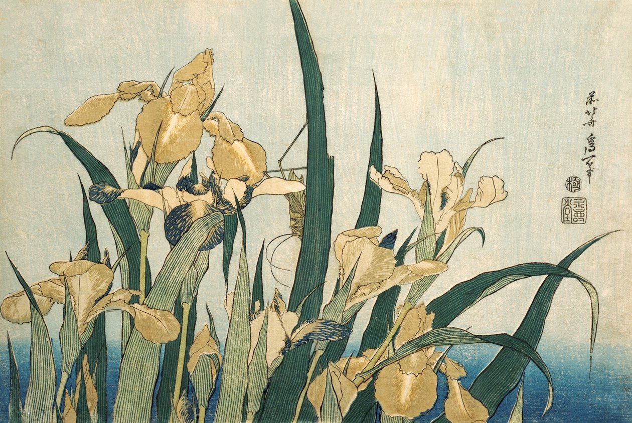 Iris med en gräshoppa, pub.1830 av Katsushika Hokusai