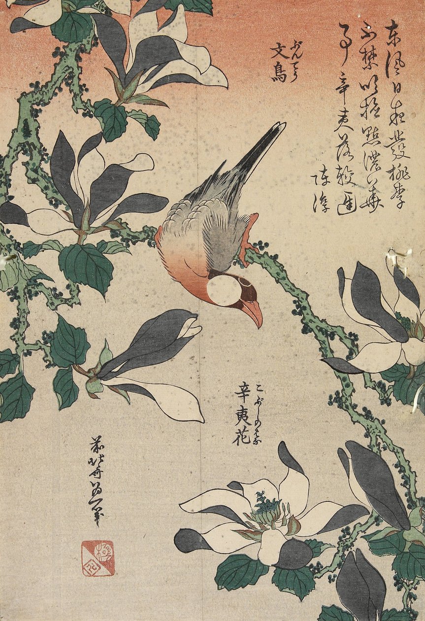 Java sparv och magnolia, ca 1832 av Katsushika Hokusai