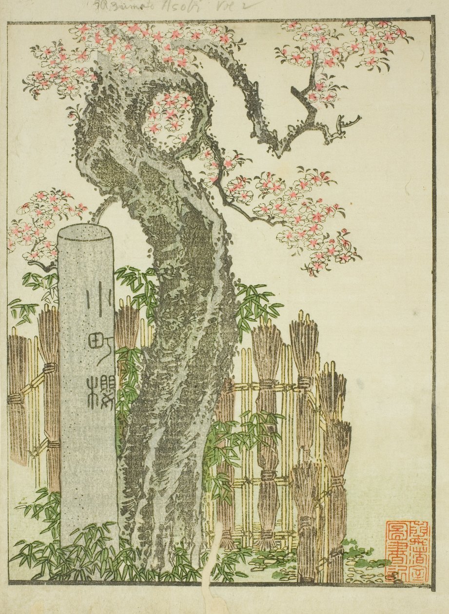 Komachi Cherry Tree (Komachi zakura), från den illustrerade boken "Picture Book of Amusements of the East (Ehon Azuma asobi)" av Katsushika Hokusai
