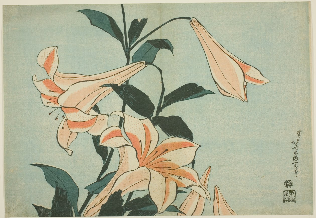 Liljor, från en namnlös serie stora blommor av Katsushika Hokusai