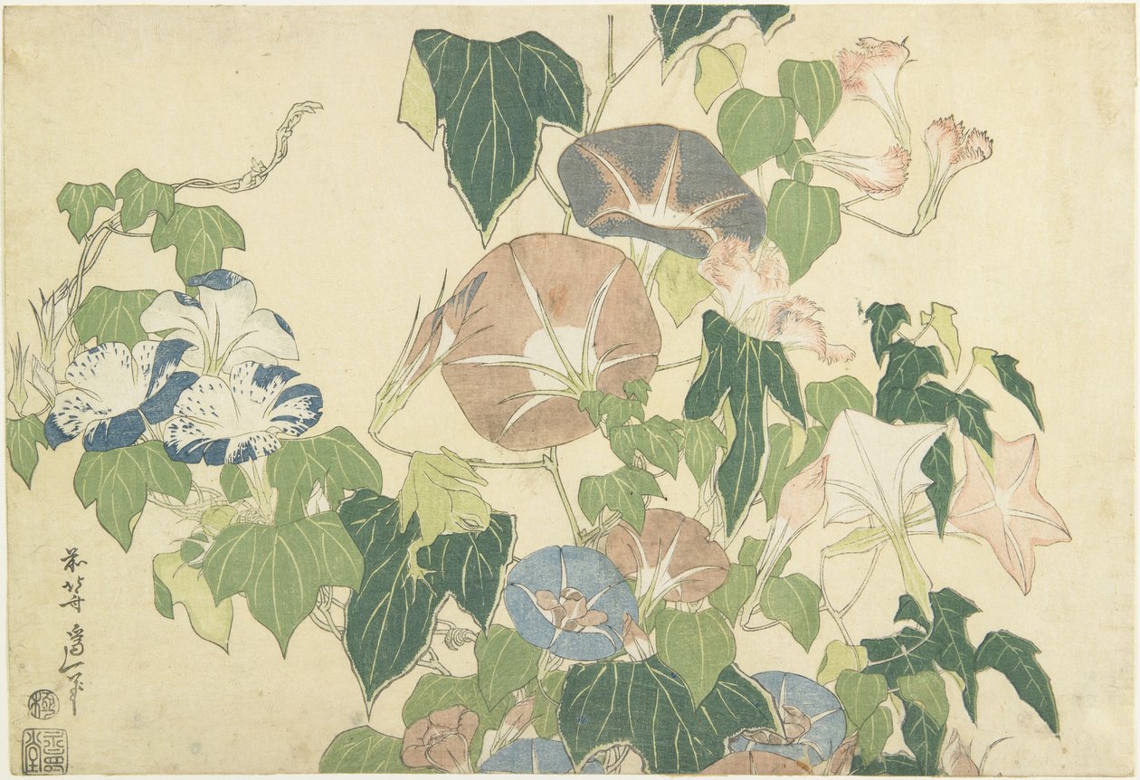 Morning Glories and Tree Frog, från den namnlösa serien känd som Large Flowers, c.1833-34 (träblock i färg) av Katsushika Hokusai