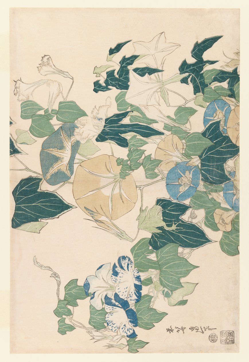 Morning Glories in Flowers and Buds, c.1830 (träblock i färg) av Katsushika Hokusai