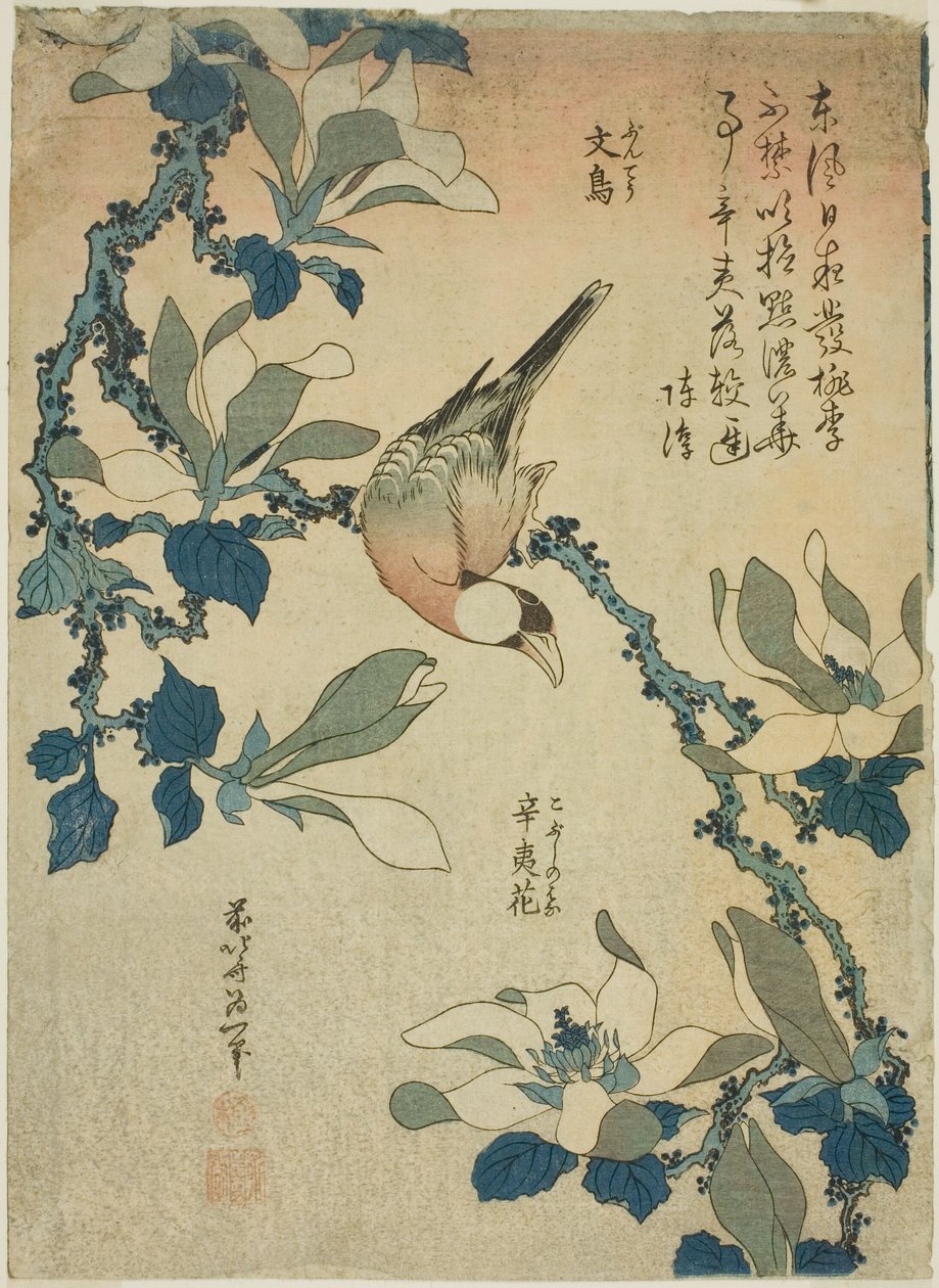 Paddy Bird and Magnolia Flowers (Buncho, kobushi no hana), från en namnlös serie med blommor och fåglar av Katsushika Hokusai