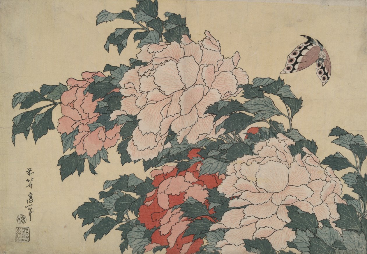 Pioner och fjäril, från en namnlös serie som heter Stora blommor av Katsushika Hokusai