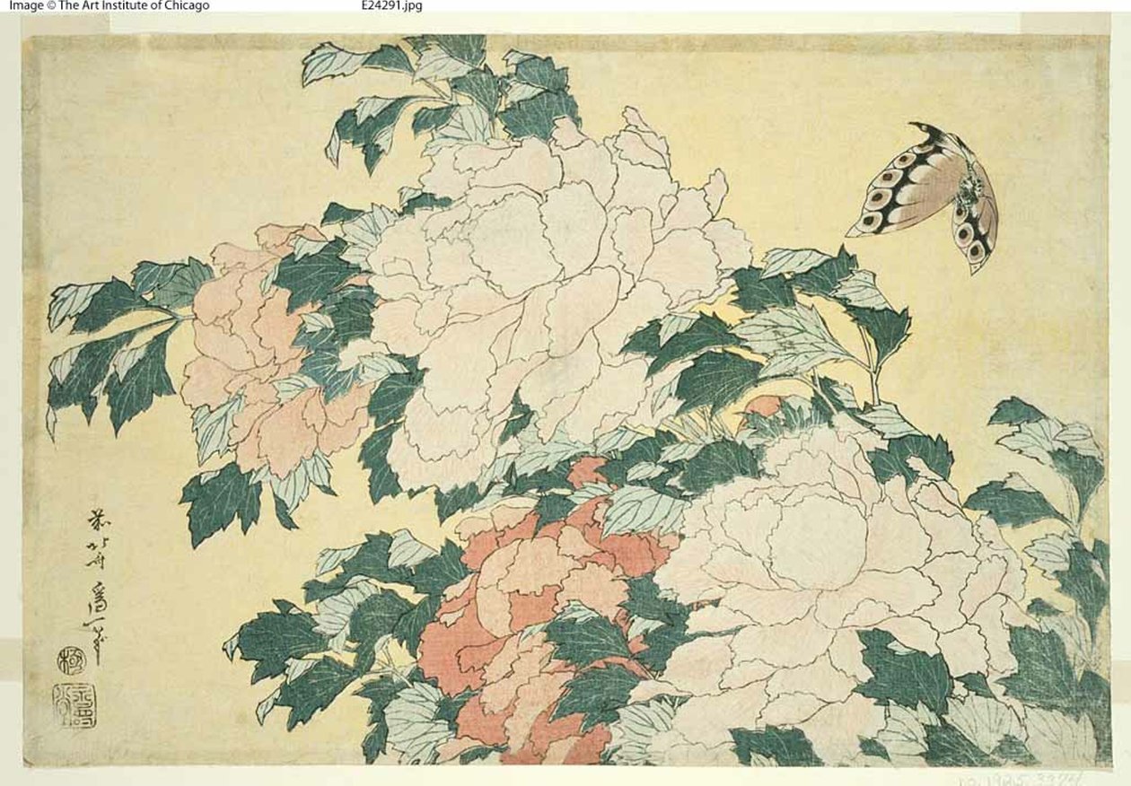 Pioner och fjäril, från en namnlös serie stora blommor av Katsushika Hokusai