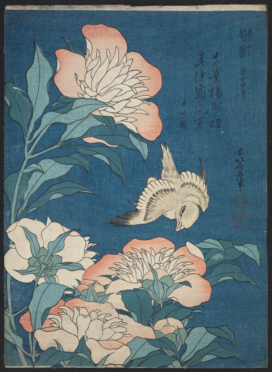 Pioner och kanariefåglar (Shakuyaku, kanaari), från en namnlös serie känd som Small Flowers av Katsushika Hokusai