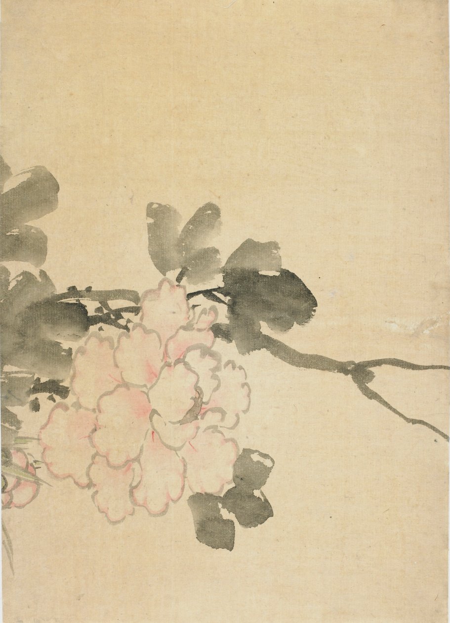 Pion, sent 1700-tidigt 1800-tal. av Katsushika Hokusai