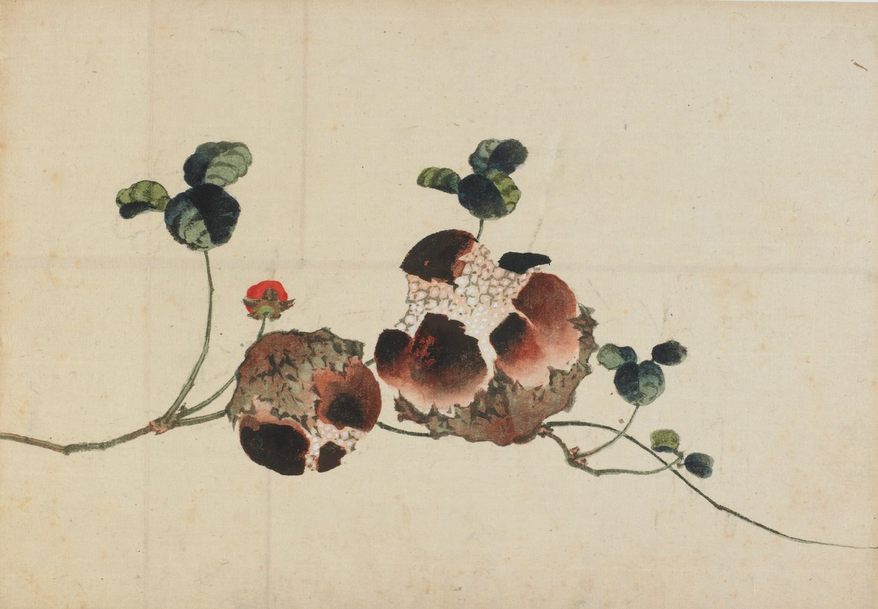 Granatäpplen, sent 1700-tidigt 1800-tal. av Katsushika Hokusai
