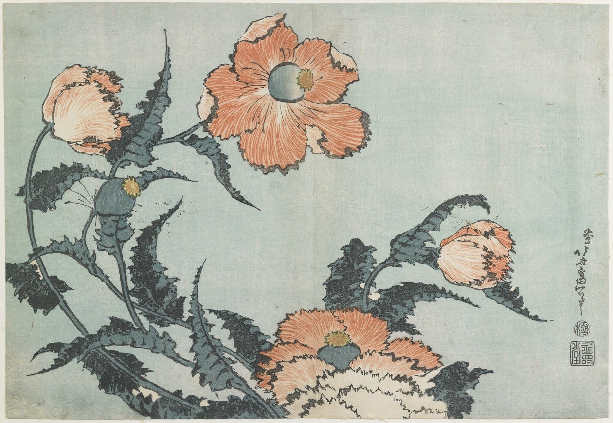 Vallmo, c. 1832 av Katsushika Hokusai