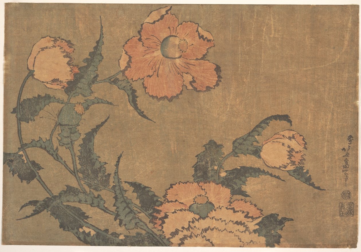 Vallmo i vinden av Katsushika Hokusai