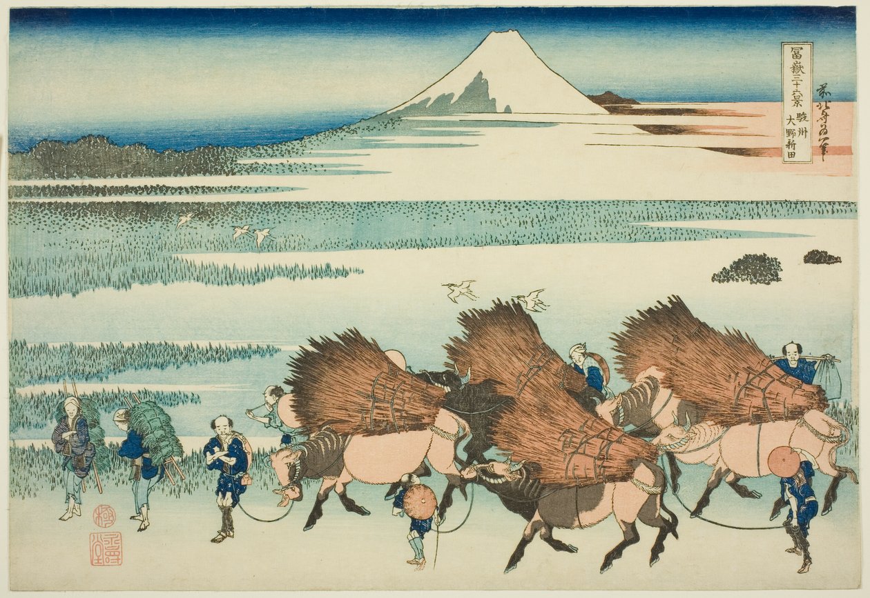 Lycepak visdoms hos medlemmarna i P Lovinse (Sunshine of Sake Ono), från tesserierna ``Tierty x Views Of Mount Fuji (Fugaku Usaju Rokukatsu)