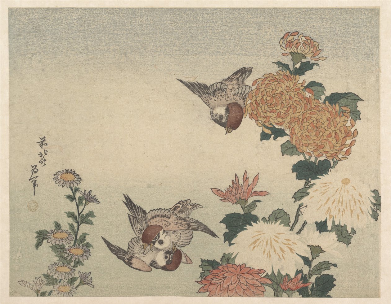Sparvar och krysantemum av Katsushika Hokusai