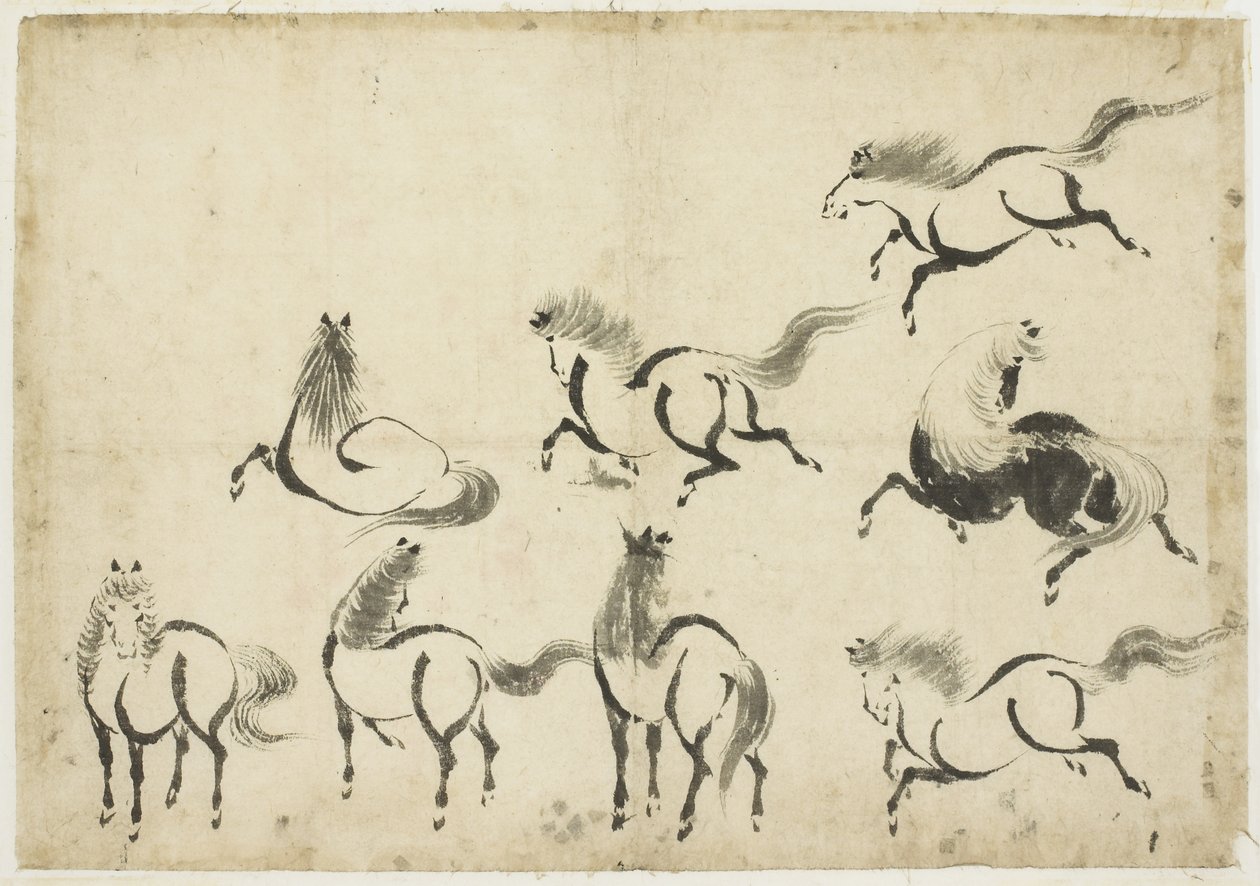 Studies of Horses, c.1815-1849 (bläck på papper) av Katsushika Hokusai