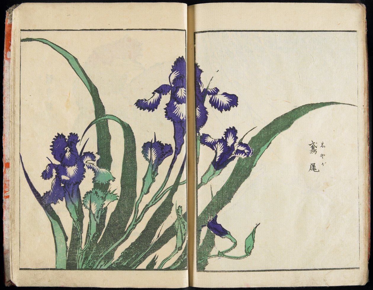 Att förmedla andan och avslöja tingens gestalt: Hokusais bildträdgård, vol. 1, komplett av Katsushika Hokusai
