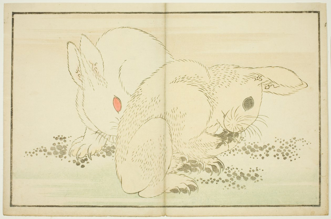 Två kaniner, från The Picture Book of Realistic Paintings of Hokusai (Hokusai shashin gafu) av Katsushika Hokusai