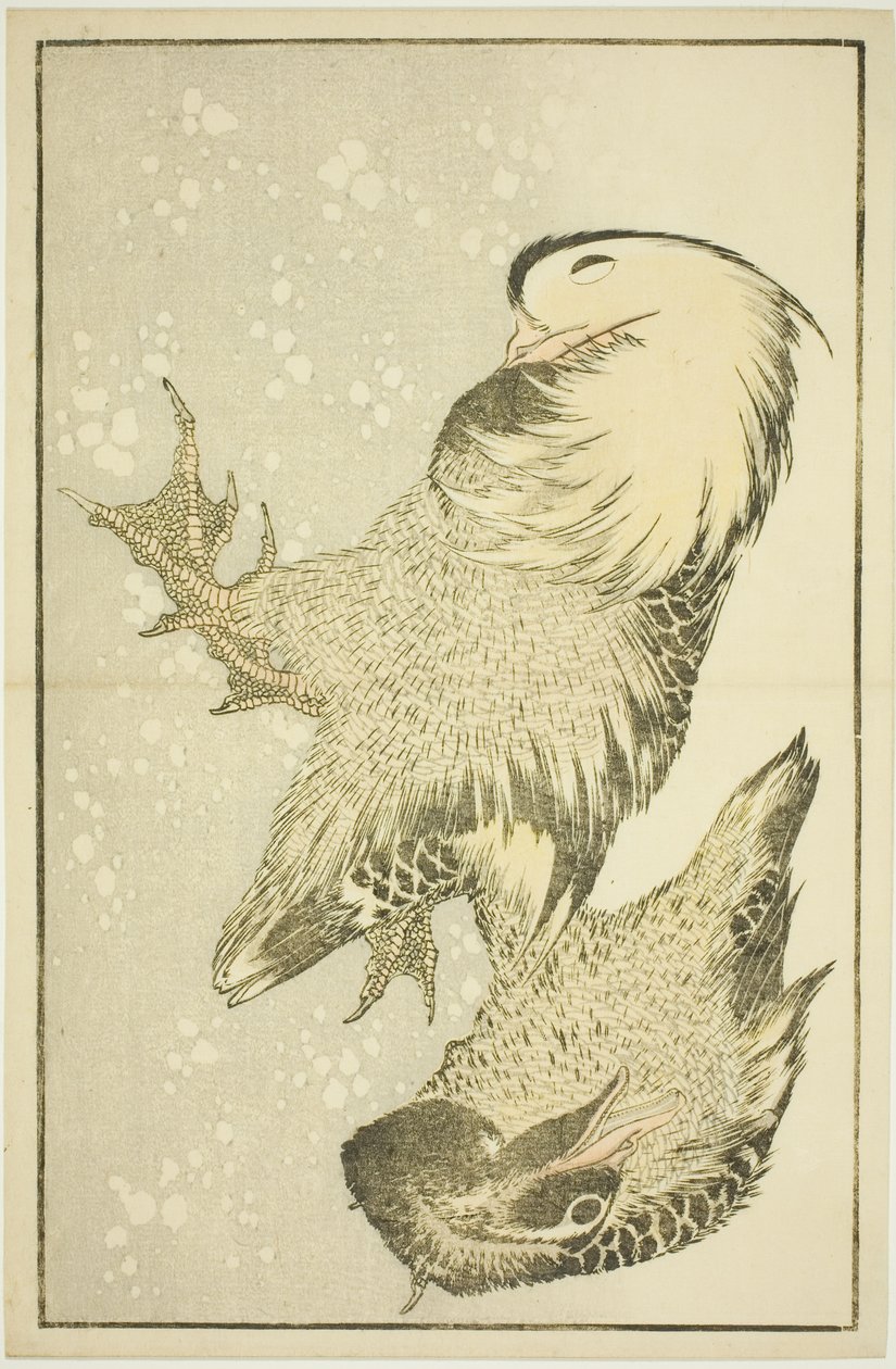 Two Waterfowl, från The Picture Book of Realistic Paintings of Hokusai (Hokusai shashin gafu) av Katsushika Hokusai