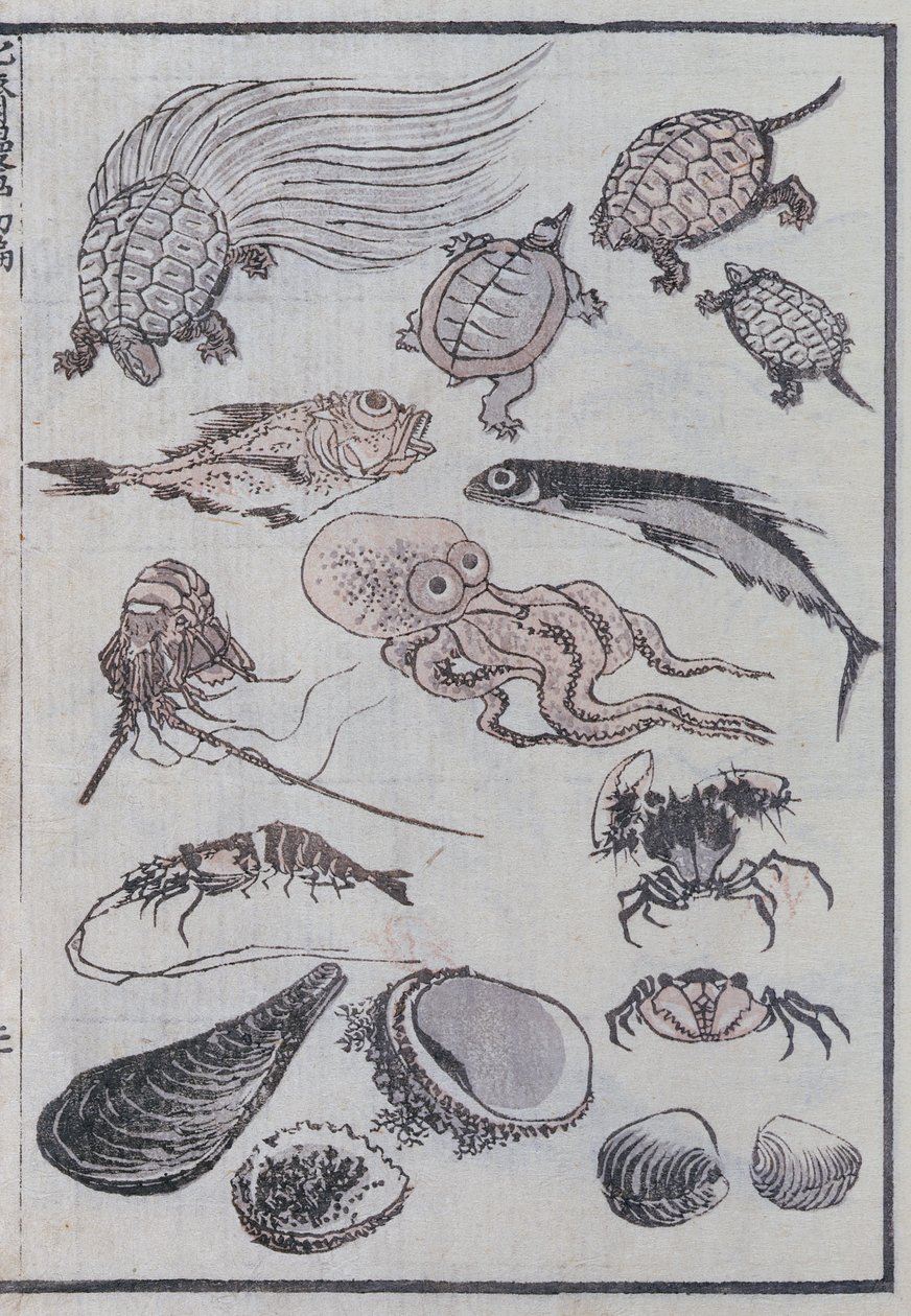 Undervattensvarelser, från en Manga (träblock i färg) av Katsushika Hokusai
