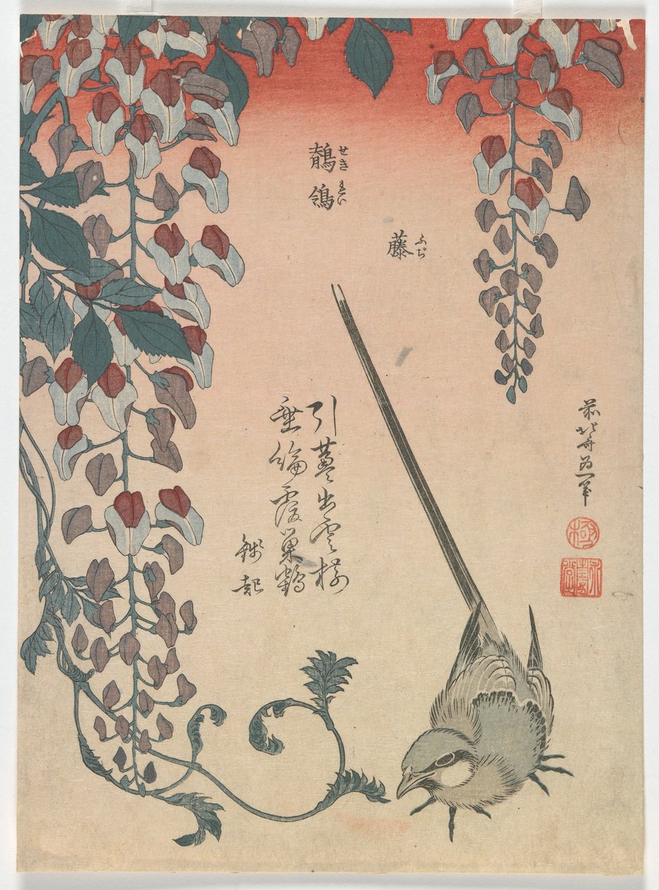 Vagga och blåregn, Edo-perioden, 1834 (färgsnitt) av Katsushika Hokusai