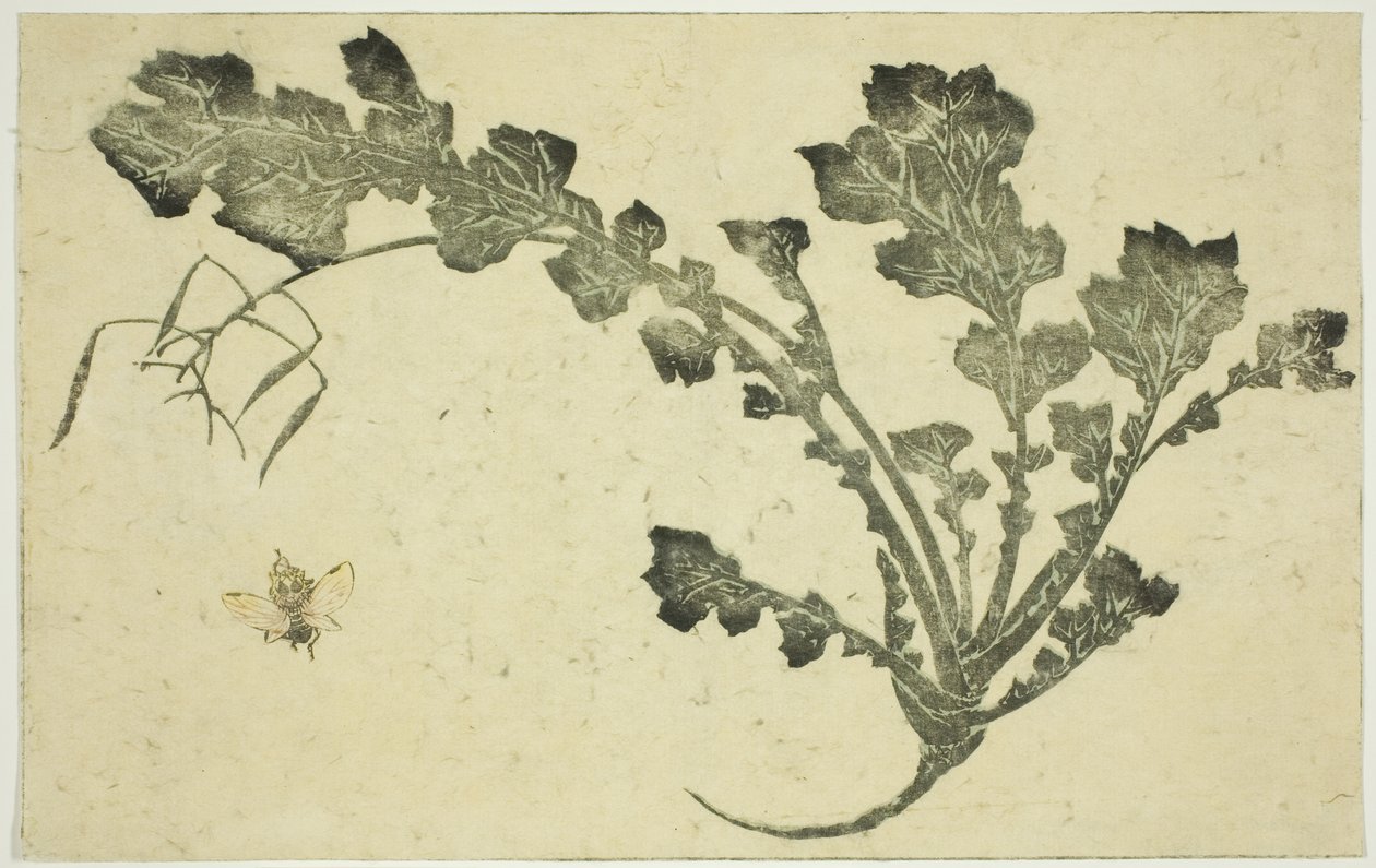 Geting- och kålrotsstjälk, från "The Picture Book of Realistic Paintings of Hokusai (Hokusai shashin gafu)" av Katsushika Hokusai