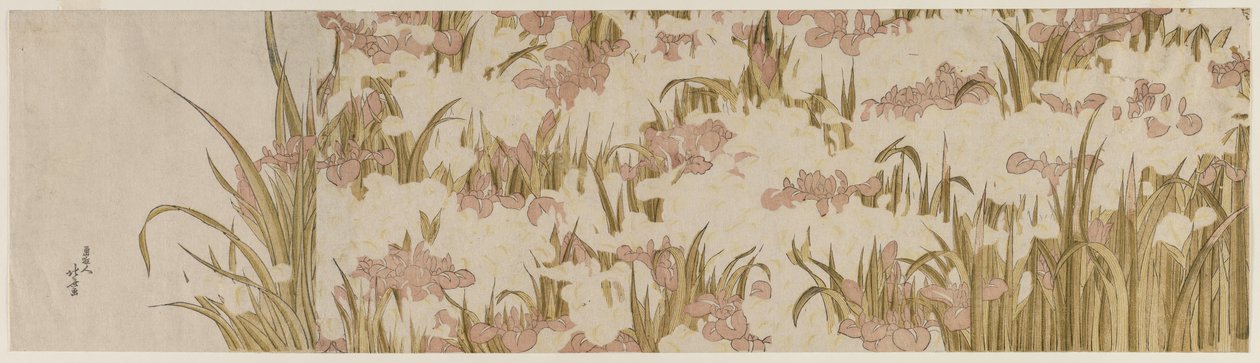 Vita och lila iris, tidigt 1800-tal. av Katsushika Hokusai
