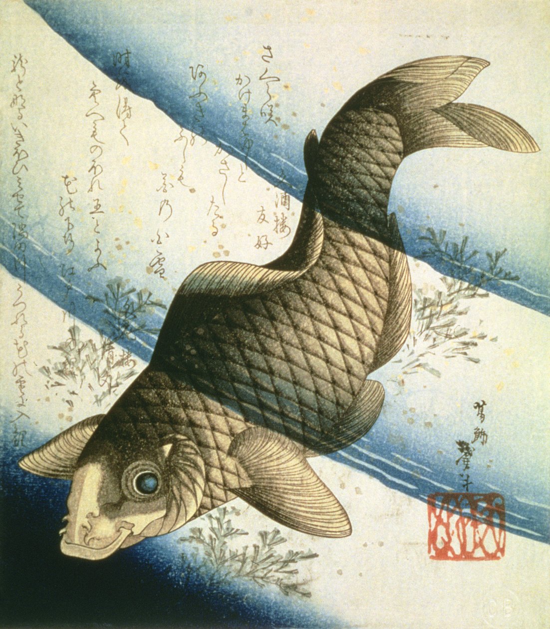En karp som simmar bland vattengräs, ca 1832 (bläck) av Katsushika II Taito