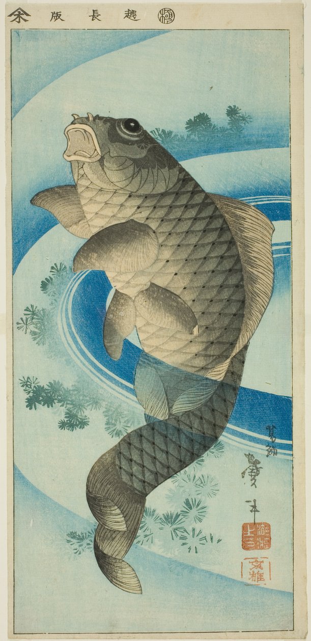 Karp av Katsushika Taito II