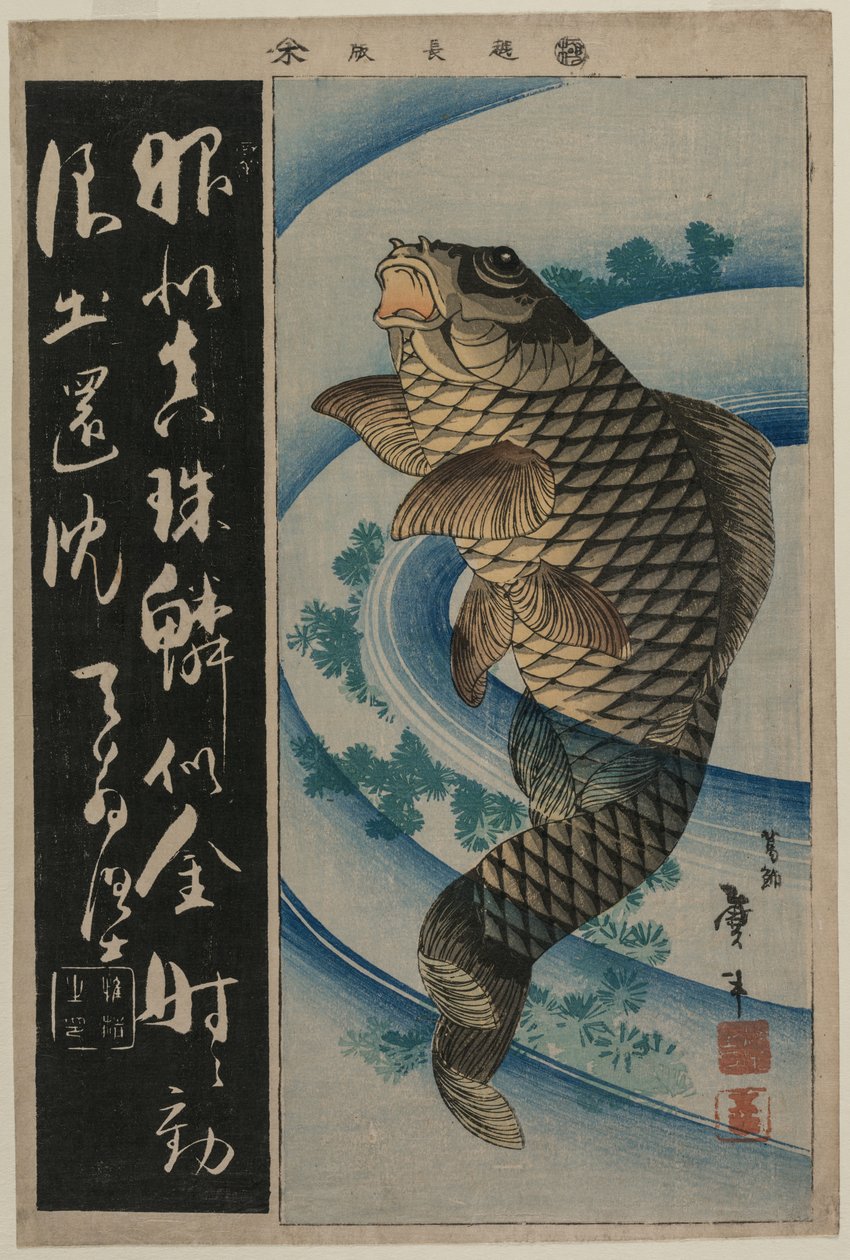 Karp och vattengräs, ca. tidigt 1830-tal. av Katsushika Taito II
