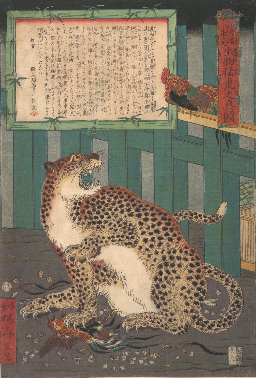 Aldrig sett förut: True Picture of a Live Wild Tiger..., sjätte månaden 1860. av Kawanabe Kyosai