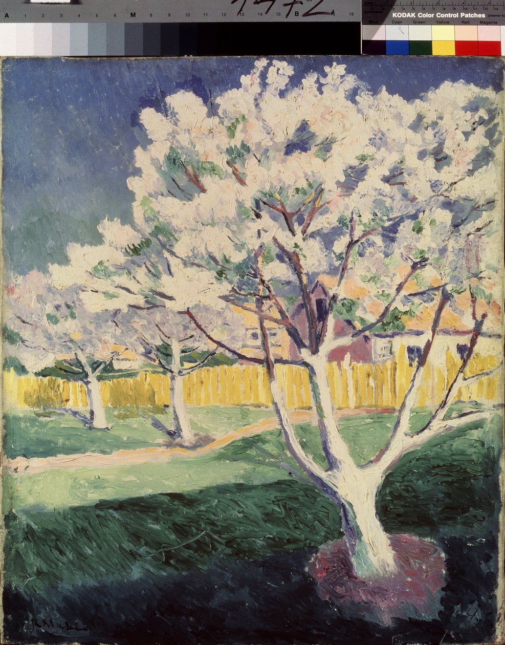 Sommarlandskap. Målning av Kasimir Severinovich Malevich (Malevich, Malevic) (1878-1935), olja på duk av Kazimir Severinovich Malevich
