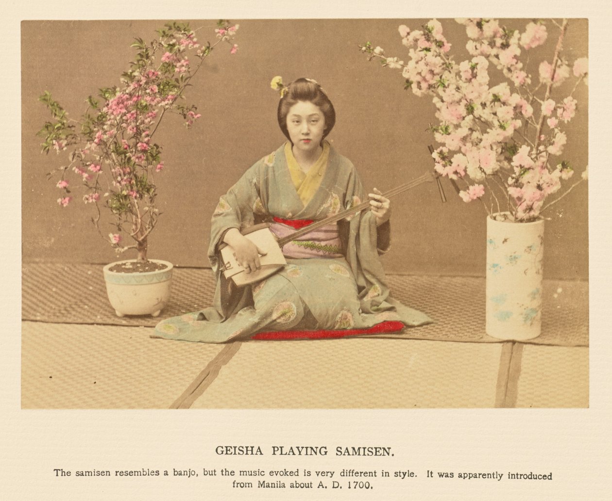 Geisha spelar samisen av Kazumasa Ogawa