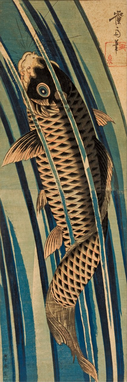 Carp ascending a waterfall av Keisai Eisen