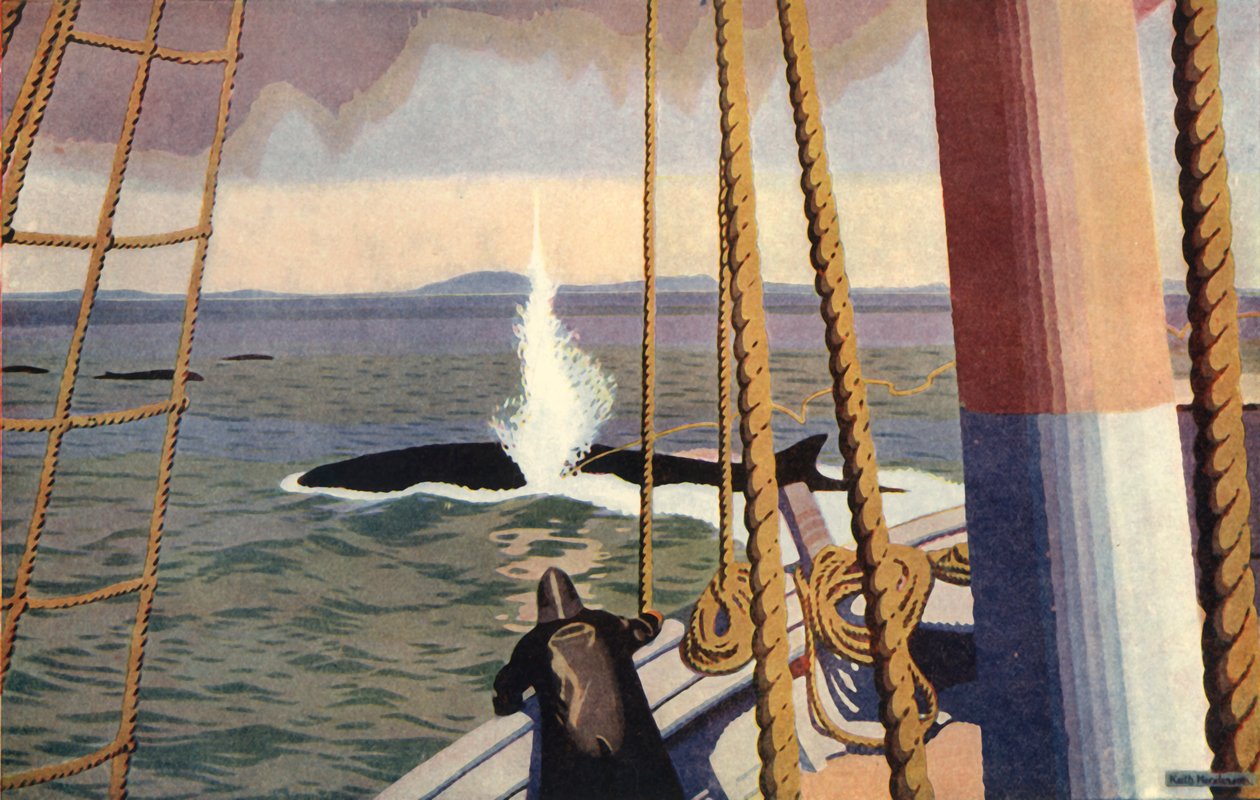 "Valfångst i Antarktis". av Keith Henderson